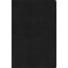 ESV Value Compact Bible (Rilegato in ecopelle)