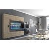 Furnitech C10 Future Parete attrezzate, Soggiorno moderno, Set mobile TV, Base porta TV (Led RGB (16 colori), C10_HGM_BS_11 1B)