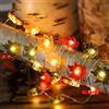 Sunshine smile Catena di luci autunnali, 2 m, 20 LED a forma di foglie d'acero, catena luminosa a forma di foglia d'acero Fairy Lights, catena luminosa interna per decorazione autunnale, giorno del Ringraziamento e
