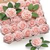 MEIRRAI 50 Fiori Artificiali, Rose Finte in Schiuma, Teste di Rose, Rosa Champagne