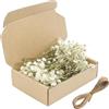 JOVYTH Confezione Gypsophila Essiccata Bianca, Mini Fiori Secchi Naturali per Artigianato, Decorazioni Nozze e Resina, con Cordino