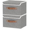 OUTBROS 2 Set Scatole Portaoggetti, 26x20x17cm Cesto per Vestiti, Grigio | Contenitori per Armadio tessuto con Coperchio, Cassettiera pieghevole adatta con Manici per Indumenti