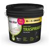 CFadda Iriscolor Idropittura Traspirante per Interni, Bianco, 15 lt, Ottima Copertura, Ideale per Bagni e Cucine