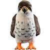 Wonder Sprout Peluche Falco pellegrino super morbido da collezione peluche Interessante uccello compagno per coccole pisolini e decorazioni per la casa regalo per bambini Halloween Natale bambine e bambini - 25cm