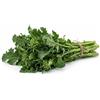 Generico Semi Cime di Rapa Novantina Riccia di Sarno 6g | Varietà Tardiva 90 Giorni ad Alta Germinazione | Semi Ortaggi per Orto e Vaso | Produzione Abbondante e Sapore Intenso