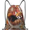 hhxvcv Zaino leggero con stampa panda rosso con coulisse, Nero , S, Classico