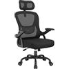 naspaluro Sedia da Ufficio Ergonomica, Supporto Lombare e Poggiatesta, Nero