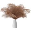 PATIKIL 8-10 Pollici(20-25cm) Piume di Struzzo, 30pz Piume Struzzo Artificiali Naturali Rinfusa per Decorazioni Centrotavola Feste Matrimonio Artigianato Marrone (5 Larghezza)