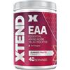 XTEND EAAs 40 servizi per idratazione e fitness Performance | Idrate, Repair, Recover | 9 Acidi essenziali Amino + elettroliti aggiunti | Frutta estiva