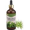 PURE CHEMICAL by CHOSA CHOSA Olio Essenziale Di Tea Tree 100 ml - Olio profumato naturale al 100% per diffusori per aromaterapia - umidificatori - sauna e massaggi - Profumo intenso per ambienti
