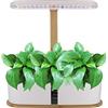 Dynaeuty Serra Idroponica, 10 Baccelli Mini Serra Idroponica per Casa, Sistema di Giardino Interno Intelligente, Regali di Giardinaggio, Luce LED Inclusa (A)