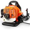 LabTEC 2 Stroke Gas Powered Leaf Blower, 43CC Benzina Zaino Leaf Soffiante, Velocità Regolata Cordless Garden Blower per Pulizia Foglie Taglio Erba Soffiatura Shredding