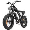 Ridstar - Q20 Mini Bici Elettrica Per Adulti Motore 1000w 48v 15ah Batteria Rimovibile Fat Tire Buggy - SPEDIZIONE GRATUITA