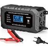 Husgw Caricabatterie 12V/15A e 24V/8A Auto e Moto Mantenimento Intelligente Batteria