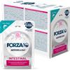 FORZA10 GATTO UMIDO INTESTINAL ACTIVE 80g