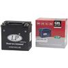 Unbekannt LANDPORT Batteria 12V 14Ah (GHD14HL-BS) [senza manutenzione e sigillata] Compatibile per Harley Davidson