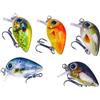 Drawup Set di esche da pesca morbide da 2 g, per spigola, trota, 2 g (1,5 g #1)
