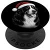 MyAnimal - Berner Mountain Dog Berner Sennenhund - Grazioso cane con cappello di Natale rosso PopSockets PopGrip Adesivo