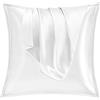Vielit Set di 2 Federe Raso 65x65cm, Design con Chiusura Cerniera, Morbido come una Federe Seta Cuscino, Federe Cuscini 65x65 Bianco