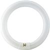 Philips Master TL-E - Lampadina Circolare G10Q 32W/840, Luce Naturale