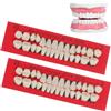 Peosaard Dente temporaneo, kit di riparazione per denti da 2 set 56 set di denti in resina per uso temporaneo I finti a scatto facili includono zanne, tigre e incisivi per l'insegnamento dell'odontoiatr