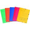 Exacompta 55360E - Cartellette in cartoncino Manila da 355 g/mq, con elastici e 3 alette, copertina con tabella prestampata, formato DIN A4, 10 pz, colori assortiti