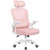 naspaluro Sedia da Ufficio Ergonomica, Supporto Lombare e Poggiatesta, Rose