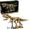 LEGO 76968 Jurassic World - Scheletri di dinosauri, Tirannosauro