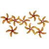 WSCONPKPJ Elica universale da 4 a 8 pezzi 2020 2x2x5 2 pollici 50,3 mm 5 pale PC 1,5 mm per drone freestyle (whisky)