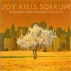 Joy Kills Sorrow Darkness Sure Becomes (CD)