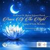 Prof. Dr. Mahraj Schastri Pareek India - Peace (CD)