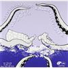 Phoenix Bodies/Raein Split (Vinyl LP) 7" Single