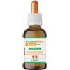 ORSANA ITALIA Srl Orsana Italia Vitaben Forte Integratore Alimentare 15 ml