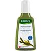 Rausch ag kreuzlingen RAUSCH SH A/SEBO QUERCIA 200ML