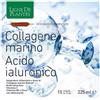 Ligne de Plantes COLLAGENE MARINO ACIDO IALURONICO 15 Ampolle