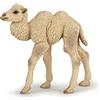 Papo -Dipinta a mano- figurina-Fauna Selvatica -Cammello-50221-Collezione -Adatto a bambini e bambine - A partire dai 3 anni di età