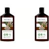 Harbor INTRÀ & Karité Shampoo Capelli Nutriente Bio & Vegan - 250ml, Neutro, Cocco (Confezione da 2)