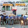 David Allan Coe Texas Moon (Vinyl LP) 12" Album