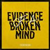 Two and a Half Girl Evidence of a Broken Mind (Vinyl LP) 12" Album