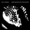 Eric Chenaux Warm Weather With Ryan Driver (CD) Album