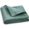 Telo Impermeabile 6x8 m con 28 Occhielli per Fissaggio in PE Resistente agli Strappi da 90 GSM Verde