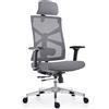 HOLLUDLE Sedia da Ufficio Ergonomica con Schienale Regolabile, Sedile Regolabile in Profondità, Braccioli 4D, Supporto Lombare e Poggiatesta 2D, Girevole a 360°, Design Moderno, Nero e Grigio