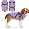 LUOWAN Cappottino Cane Taglia Piccola e Media Taglia - Cappotto Cane - Giacca Invernale Impermeabile con Imbracatura - Gilet Caldo
