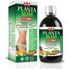 GDP Srl-GENERAL DIETET.PH WINTER PLANTA SLIM 12ERBE 500ML