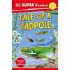 DK Super Readers Level 2 Tale of a Tadpole (Tascabile) DK Super Readers