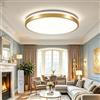 Horevo Lampada da Soffitto con Telecomando per le Camerette dei Bambini | 24W, 30CM, Altoparlante Bluetooth, Intensità Luminosa Regolabile, RGB, 3 Temperature di Colore, per la Camera da Letto