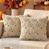 Benjia 2 Pezzi Federa per Cuscino Autunnale 45 x 45 cm, Fodera per Cuscino Zucca Decorativa in Morbido Peluche per Sofá Dormitorio Decorazione Autunnale Ringraziamento Halloween (Beige)