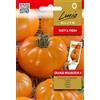 Lucia Elite | Semi di pomodoro arancione Wellington H | Semi di ortaggi | Semi di pomodoro | Un ibrido precoce di medie dimensioni con sapore e pomodori carnosi | 1 confezione