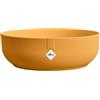 Elho jazz bowl 28cm vaso da fiori - Giallo Ambra