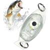 Generic Luce da pesca a LED - Lampada attrattore subacquea ultra luminosa |